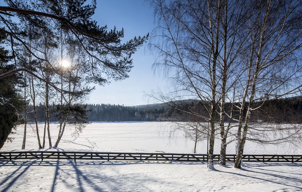 Orea Resort Devet Skal Vysocina Sněžné Екстериор снимка